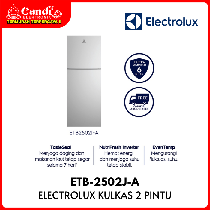 Electrolux Refrigerator 2 Door